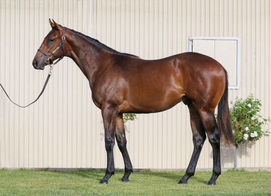 Lot 157: Portland Sky / Enuff Effort
