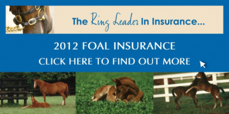 2012 Foal insurance