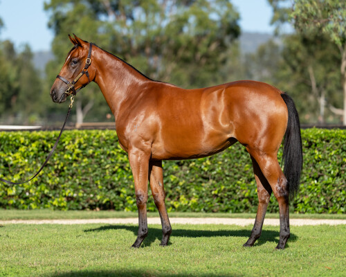 Lot 228: I Am Invincible / Joy at Last