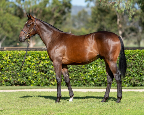 Lot 403: Wootton Bassett (GB) / Raptures