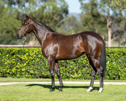 Lot 544: Hellbent / Verdier