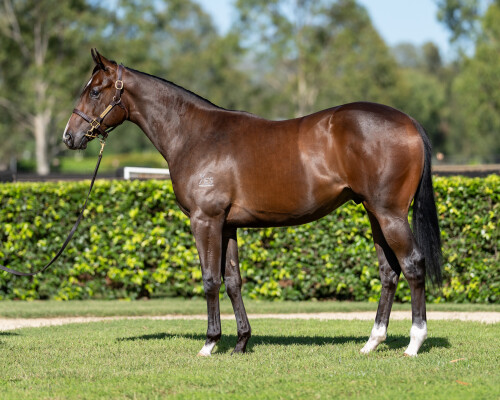 Lot 554: Wootton Bassett (GB) / Waking Moment