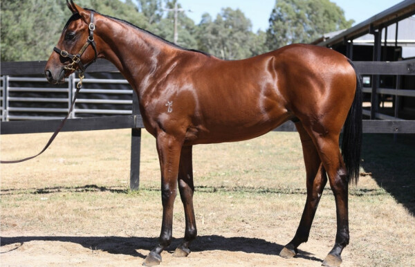 Lot 410: Exceedance / Resource