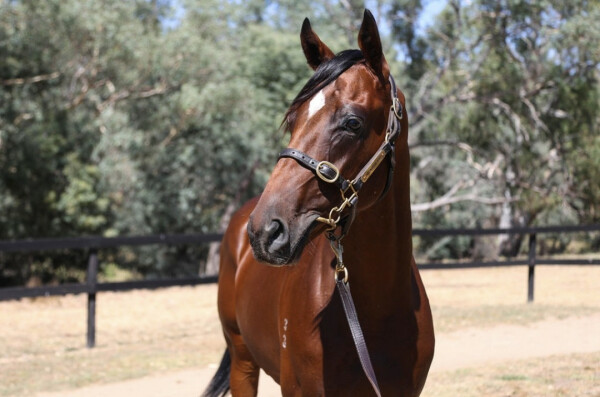 Lot 410: Exceedance / Resource