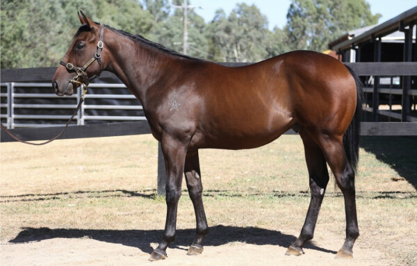 Lot 538: Rich Enuff / True Temptation