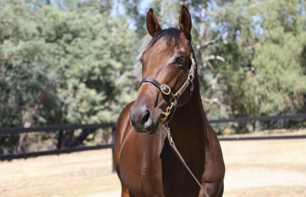 Lot 538: Rich Enuff / True Temptation
