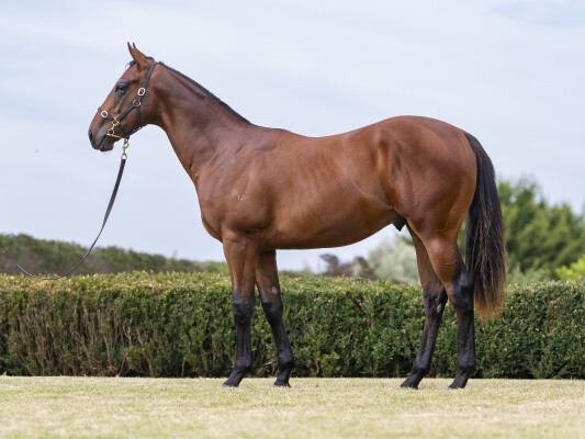 Lot 112: Hanseatic / Contrite Heart