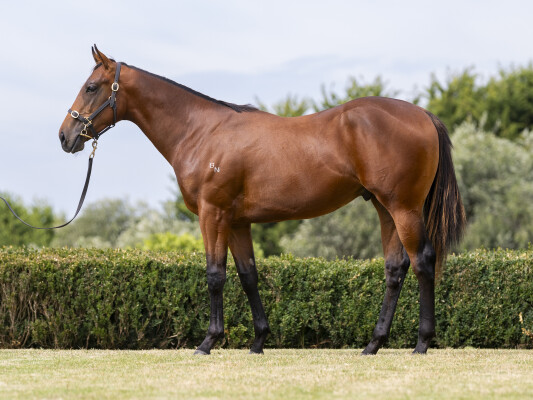 Lot 204: Doubtland / Hinchin Time