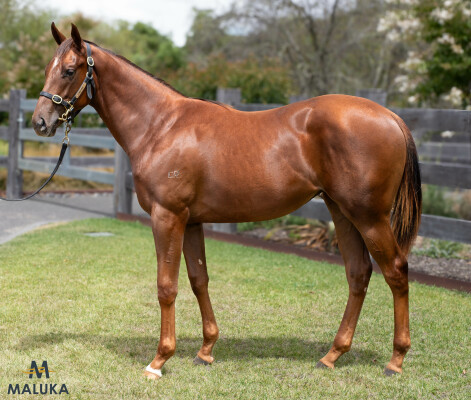Lot 614: Gold Standard / Crystal Star