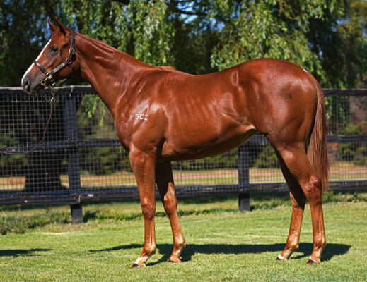 Lot 261: Rubick / Lady Churchill