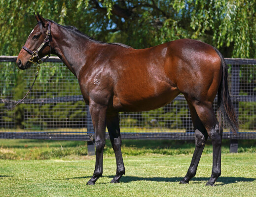 Lot 357: Tassort / Nota Single Secret