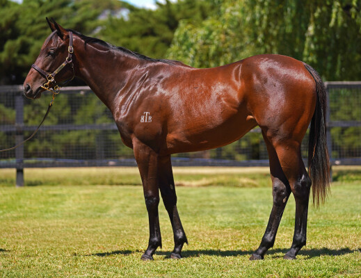 Lot 406: Tassort / Reelclass