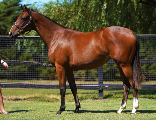 Lot 785: Microphone / Totally Mystic (GB)