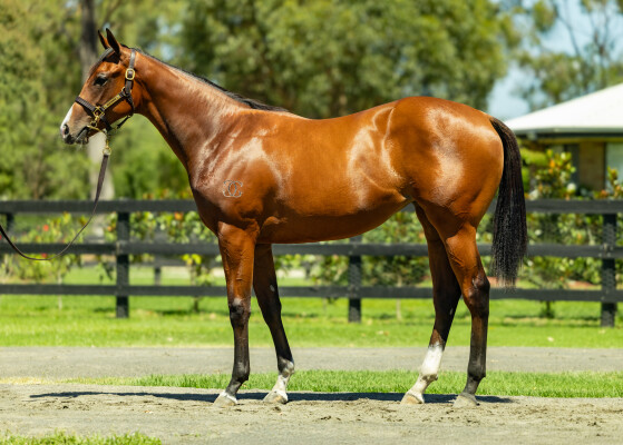 Lot 588: Dirty Work / Big Chill