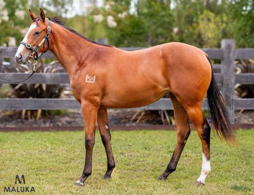 Lot 565: The Autumn Sun / Woodstock Hussey