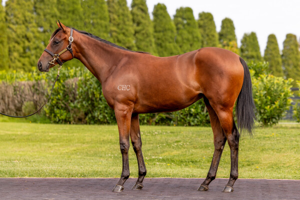 Lot 200: Russian Revolution / Heart of the Ocean (NZ)