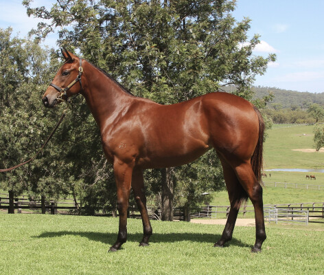 Lot 116: Hellbent / Crimson Rush