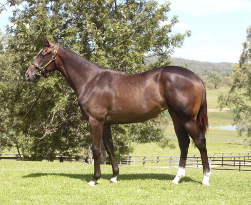 Lot 503: The Autumn Sun / Street Lass