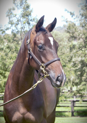 Lot 503: The Autumn Sun / Street Lass