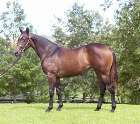 Lot 584: Stay Inside / Barguzin