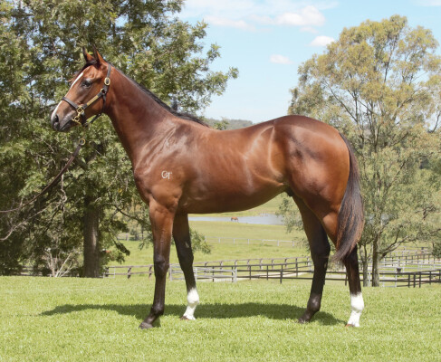 Lot 677: Hellbent / Layton Abbey