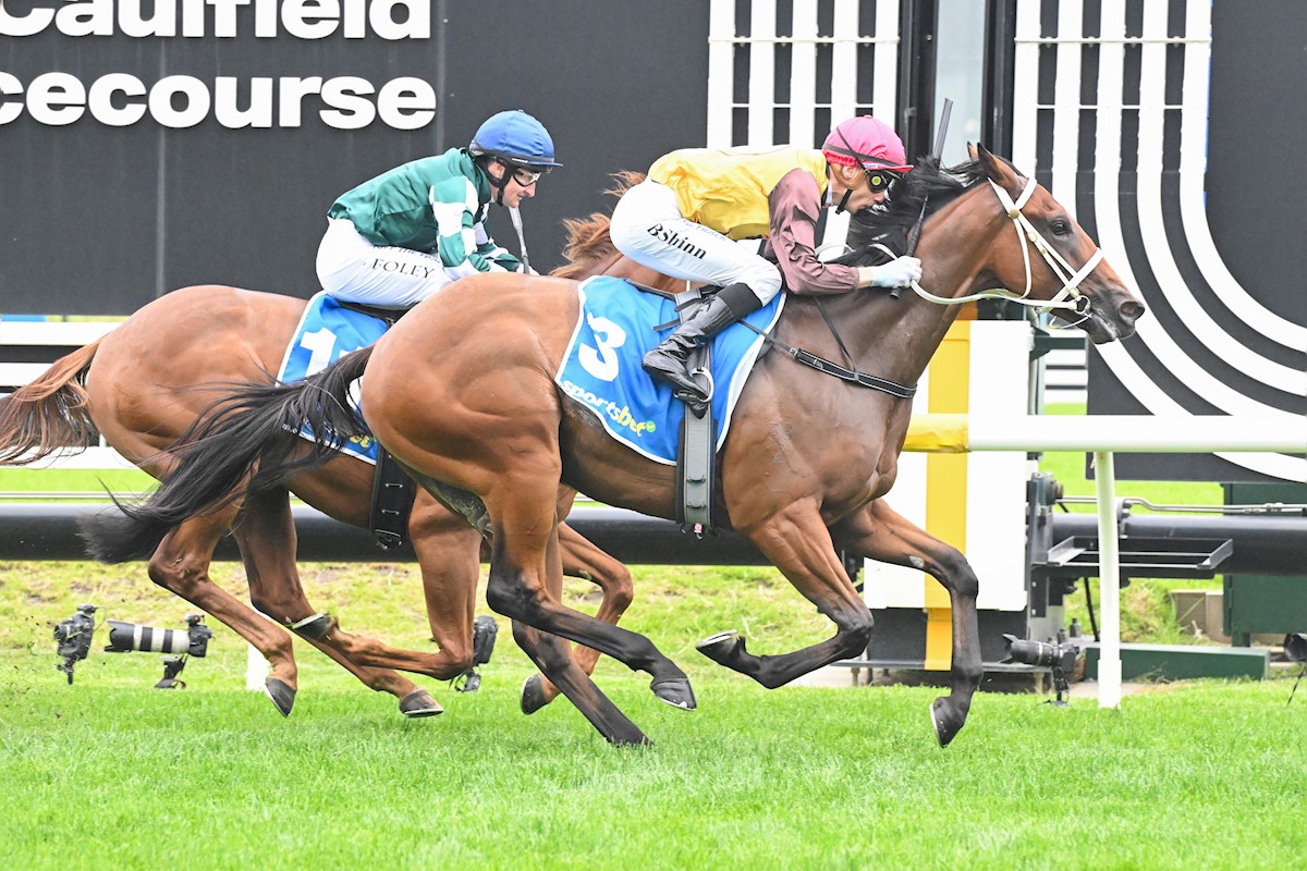 G1 progeny among early entries of Inglis Weanling Sales Series