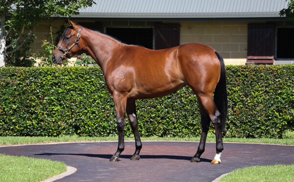 Lot 84: The Autumn Sun / Bright Path (JPN)