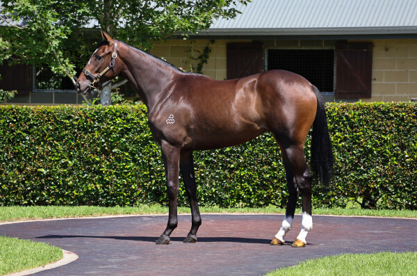 Lot 404: The Autumn Sun / Reaching