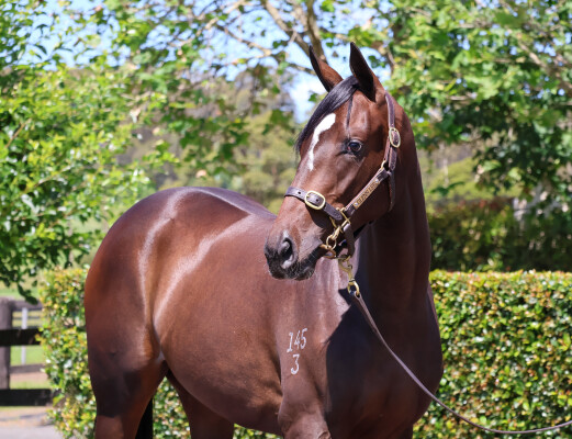 Lot 404: The Autumn Sun / Reaching