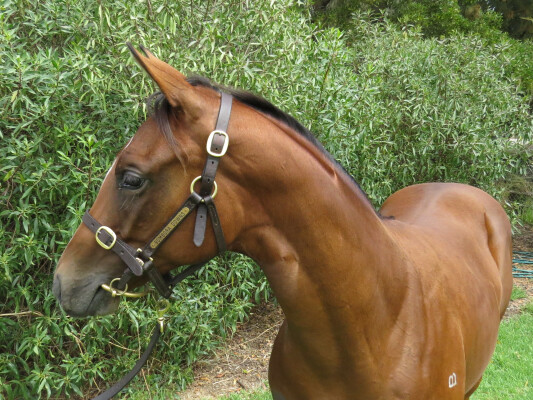 Lot 616: Rubick / Cybercyn