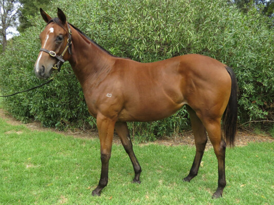 Lot 616: Rubick / Cybercyn