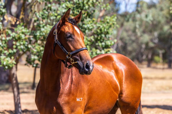 Lot 786: Rubick / Turf Cutter Girl