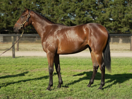 Lot 207: Exceed and Excel / I Am in the Mood