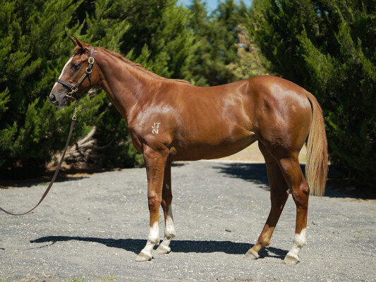 Lot 280: Trapeze Artist / Lone