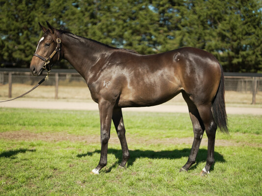 Lot 676: Trapeze Artist / Lady Marvel