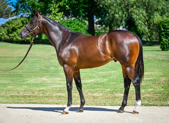 Lot 91: Wootton Bassett (GB) / Camargue (GB)