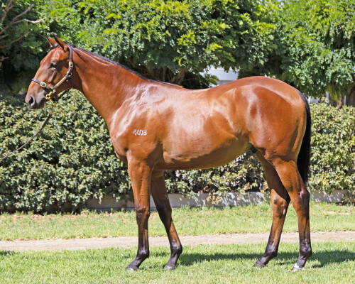 Lot 320: Farnan / Miracleofmiracles