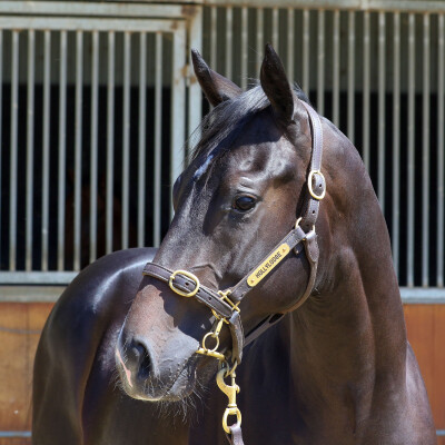 Lot 721: Dirty Work / Pompeia