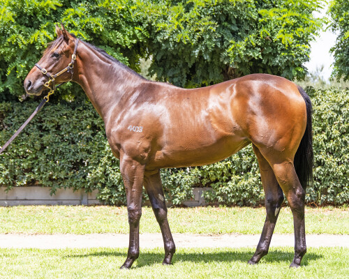 Lot 448: Farnan / Secretly Discreet