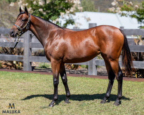 Lot 630: Dirty Work / Eager to Please