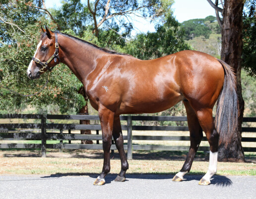 Lot 247: Russian Revolution / Kinetic Design