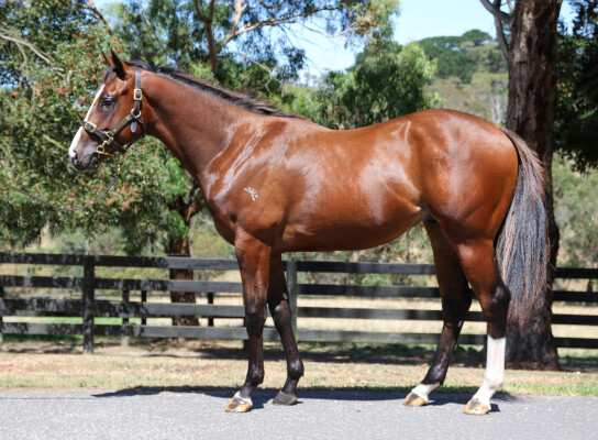 Lot 247: Russian Revolution / Kinetic Design