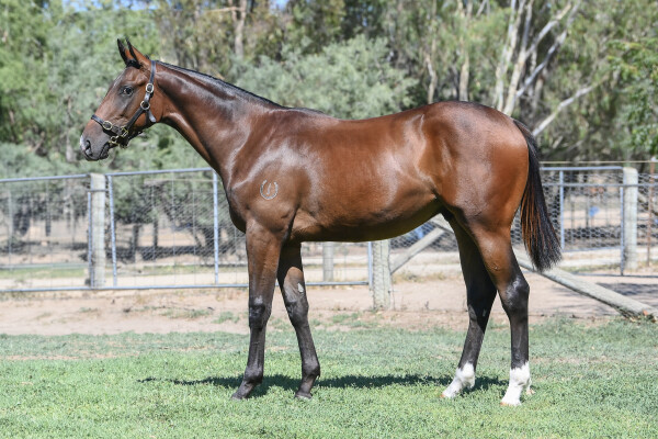 Lot 694: Rich Enuff / Miss Josephine