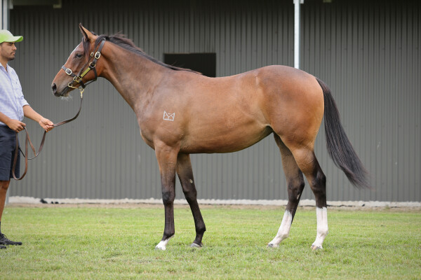 Lot 309: Pierro / Maternal Gift