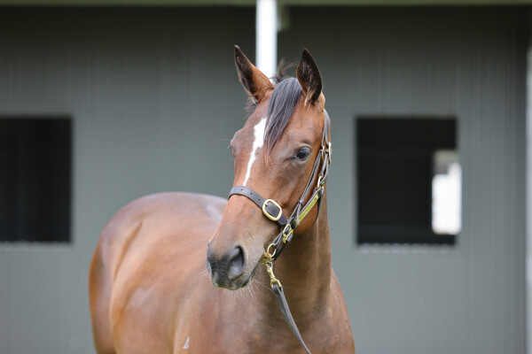 Lot 309: Pierro / Maternal Gift