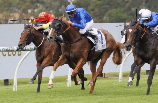 Huge quality demand see Feb (Late) catalogue reach capacity