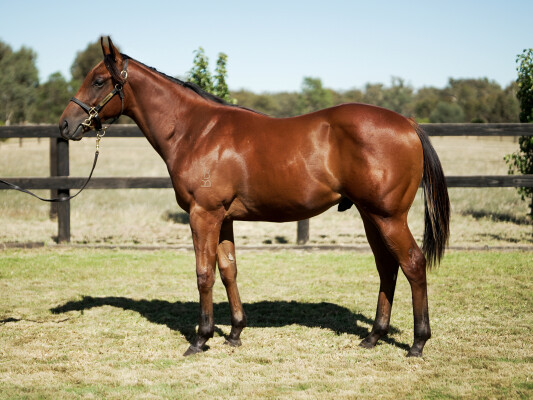 Lot 35: Prague / Annabeth