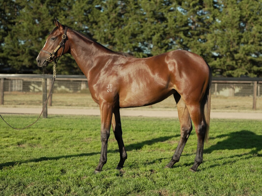 Lot 296: Hellbent / Magnaflight