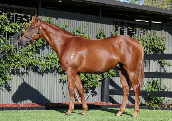 Lot 587: Dirty Work / Biagiotti