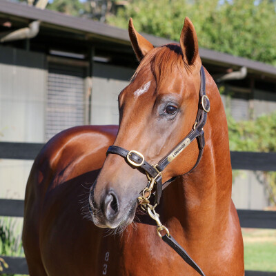 Lot 587: Dirty Work / Biagiotti